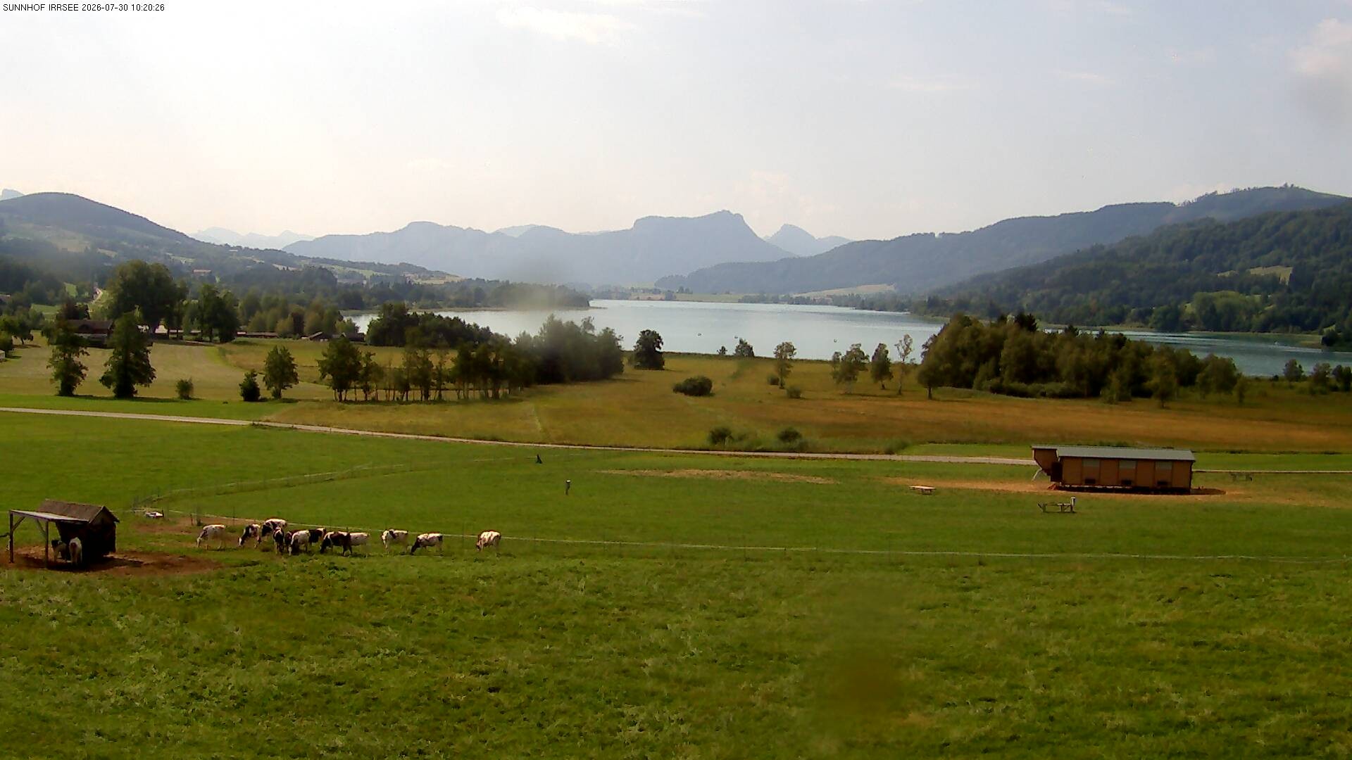 Archiv Foto Webcam Blick auf den Irrsee im Salzkammergut