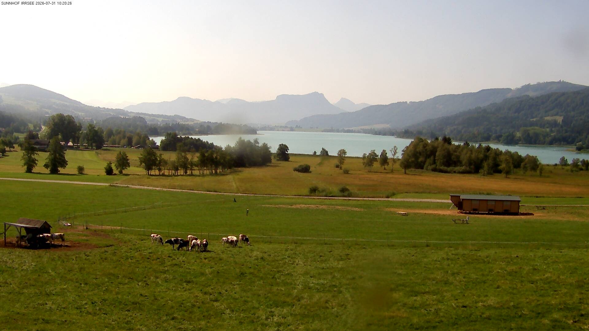 Archiv Foto Webcam Blick auf den Irrsee im Salzkammergut