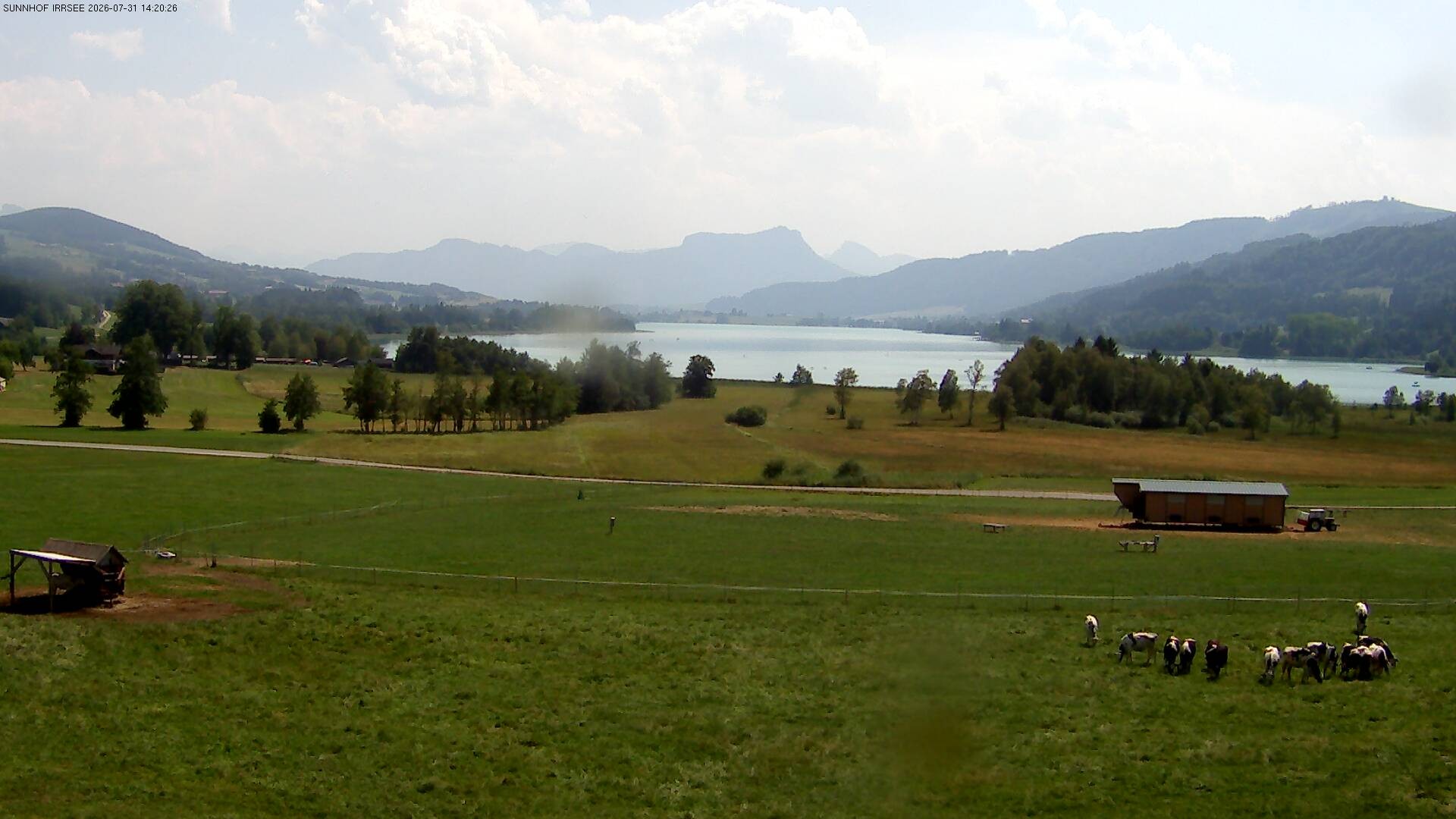 Archiv Foto Webcam Blick auf den Irrsee im Salzkammergut