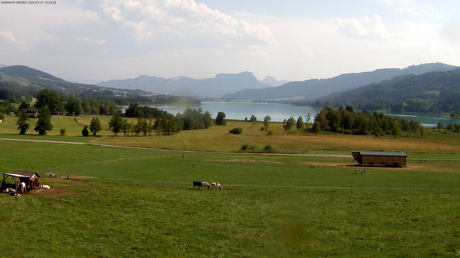Archiv Foto Webcam Blick auf den Irrsee im Salzkammergut