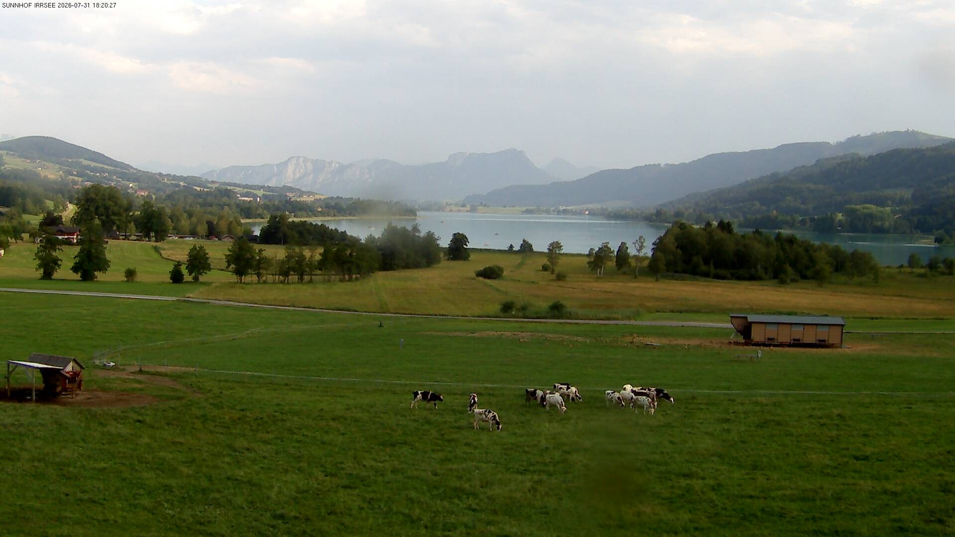 Archiv Foto Webcam Blick auf den Irrsee im Salzkammergut