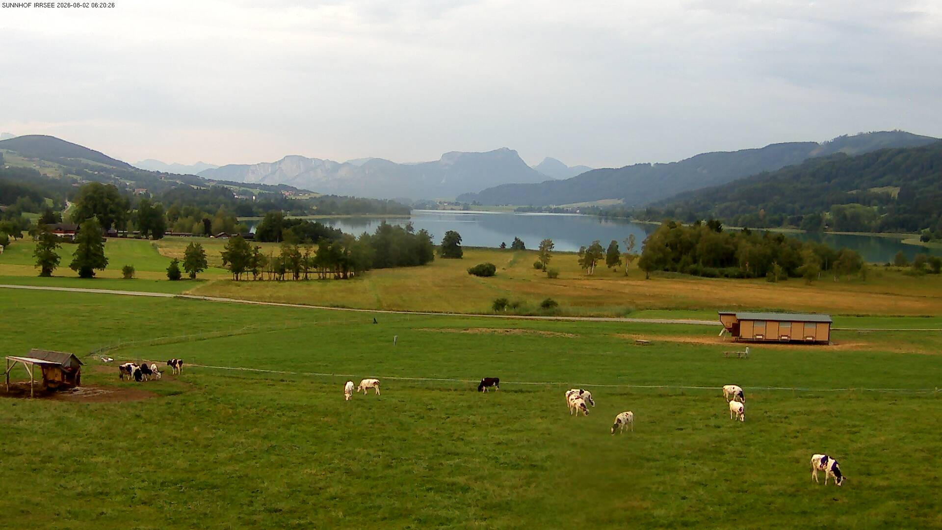 Archiv Foto Webcam Blick auf den Irrsee im Salzkammergut
