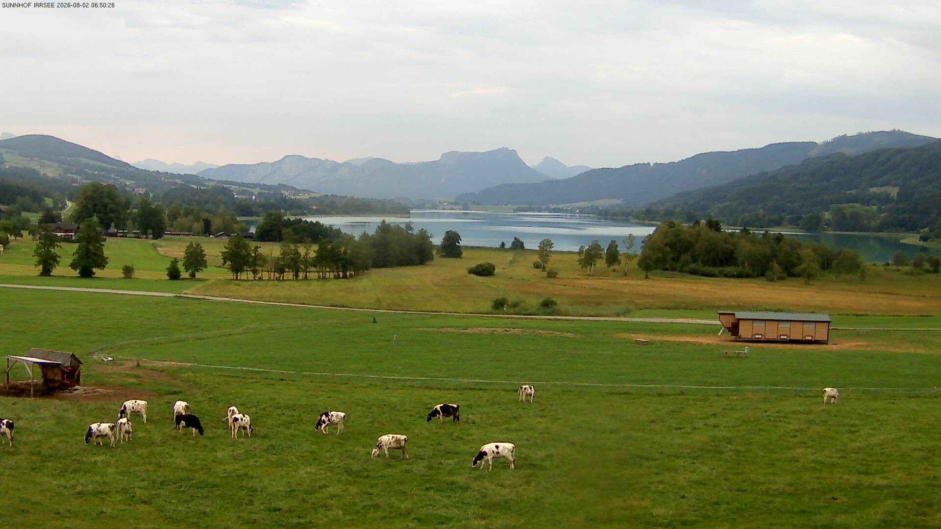 Archiv Foto Webcam Blick auf den Irrsee im Salzkammergut