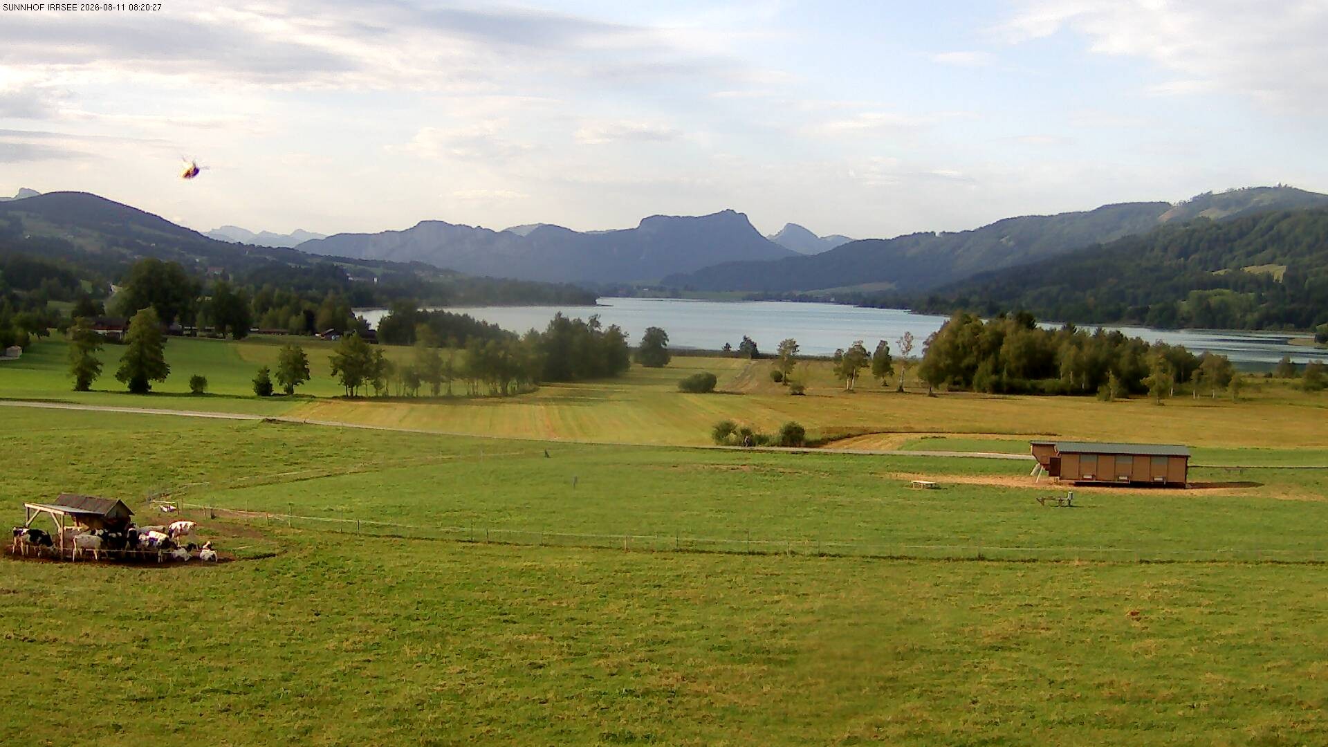 Archiv Foto Webcam Blick auf den Irrsee im Salzkammergut