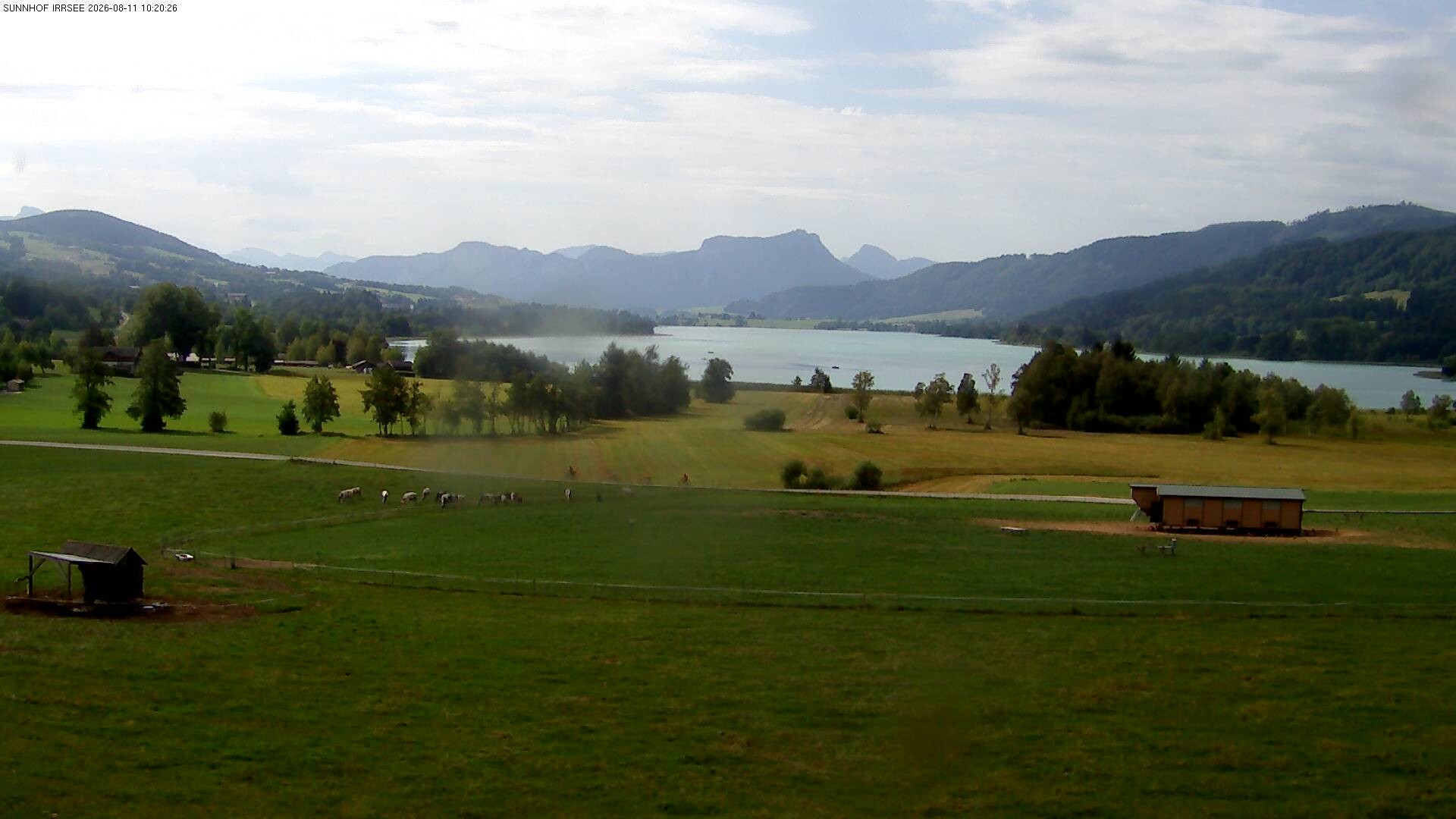 Archiv Foto Webcam Blick auf den Irrsee im Salzkammergut