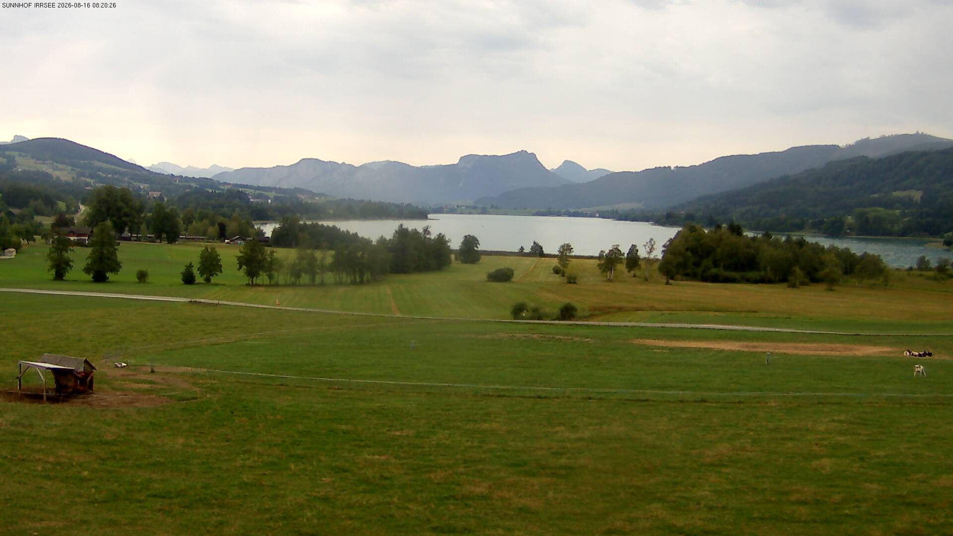 Archiv Foto Webcam Blick auf den Irrsee im Salzkammergut