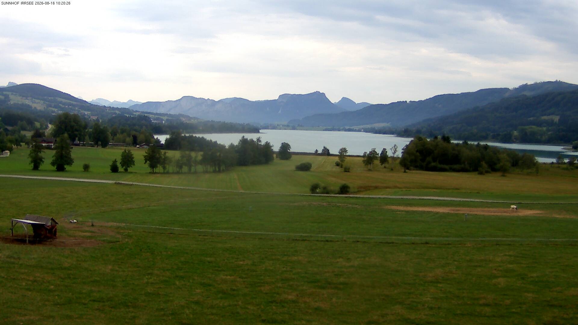 Archiv Foto Webcam Blick auf den Irrsee im Salzkammergut
