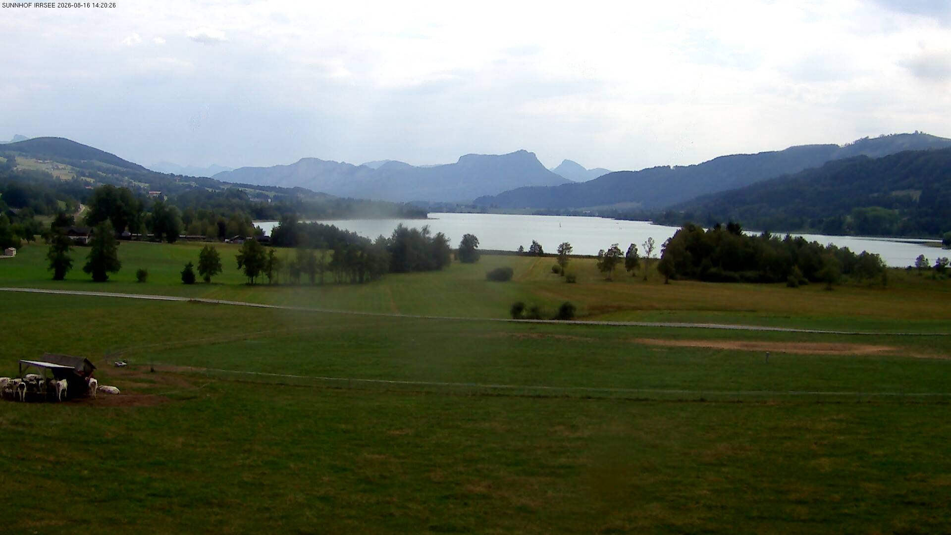 Archiv Foto Webcam Blick auf den Irrsee im Salzkammergut