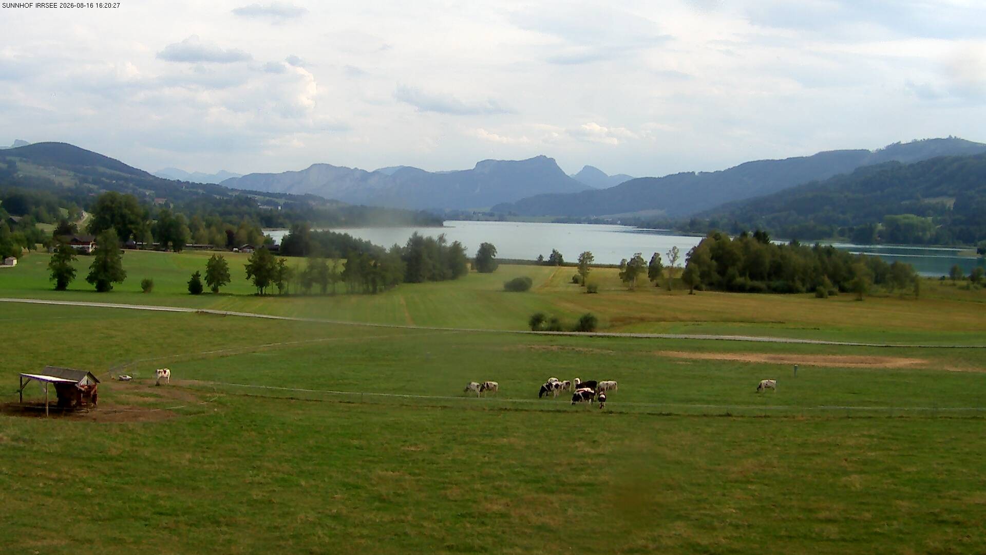 Archiv Foto Webcam Blick auf den Irrsee im Salzkammergut