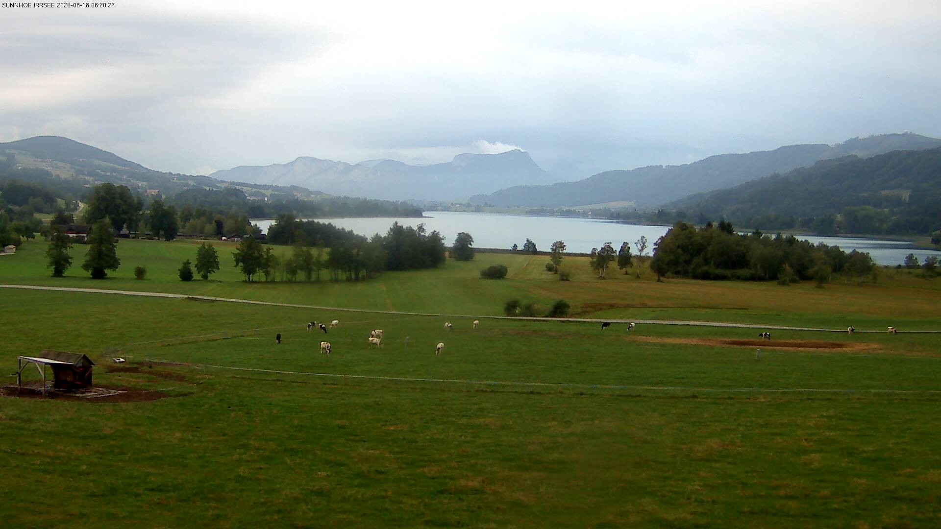Archiv Foto Webcam Blick auf den Irrsee im Salzkammergut