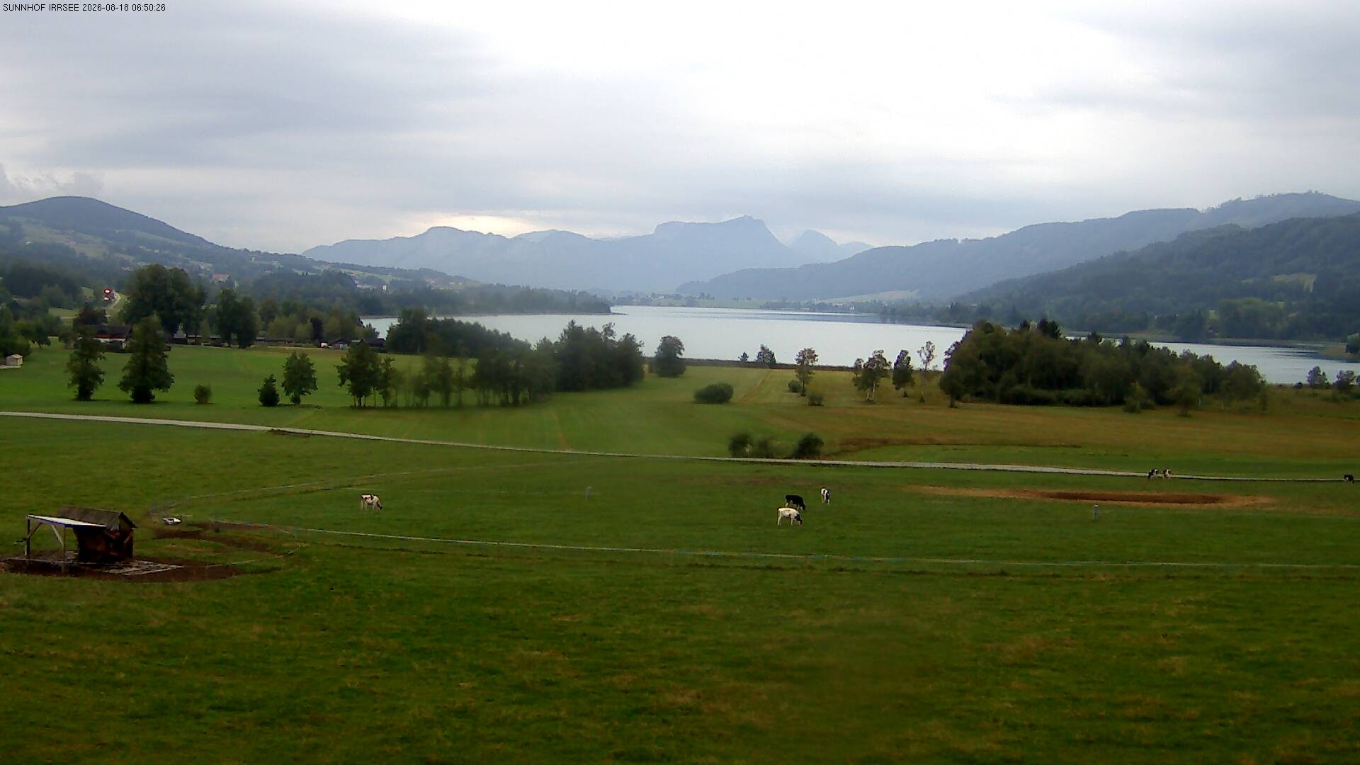 Archiv Foto Webcam Blick auf den Irrsee im Salzkammergut