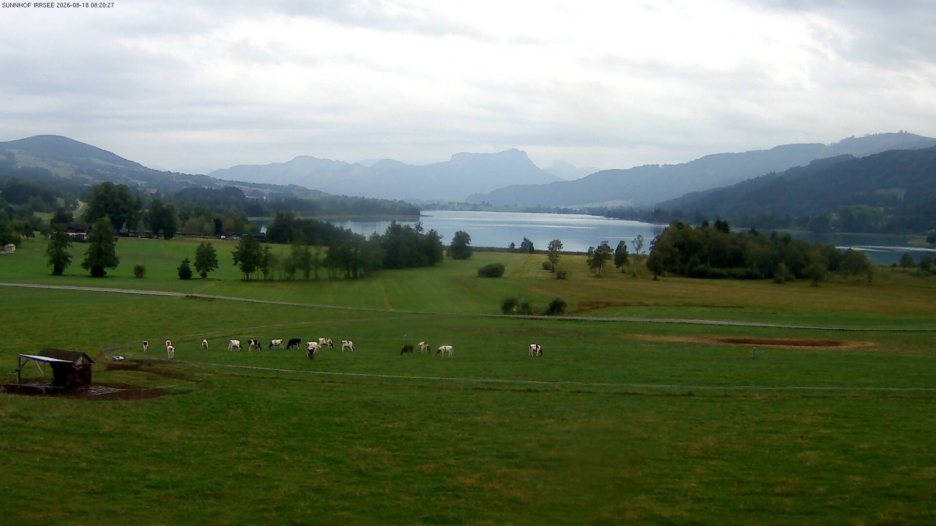 Archiv Foto Webcam Blick auf den Irrsee im Salzkammergut