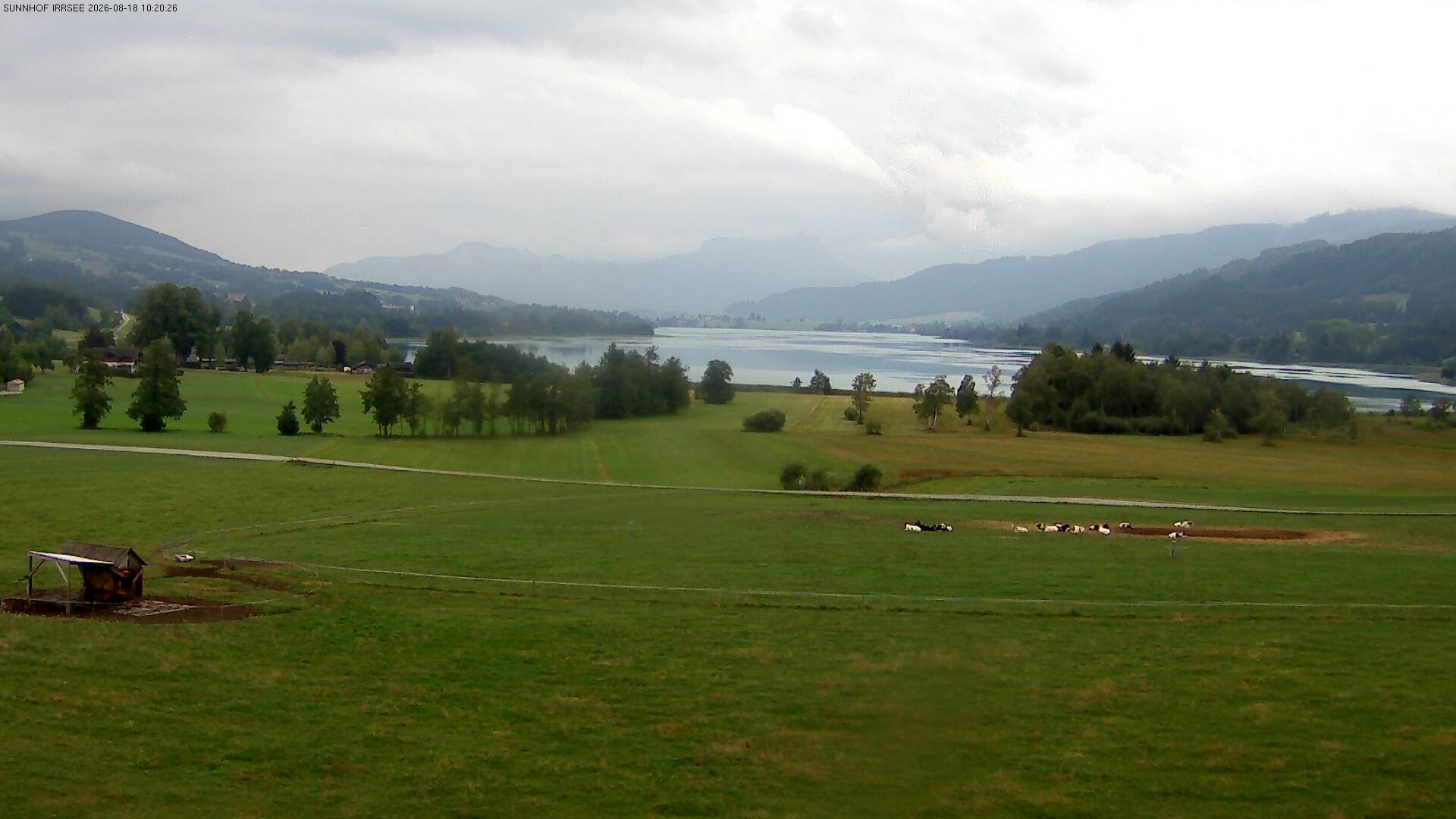 Archiv Foto Webcam Blick auf den Irrsee im Salzkammergut