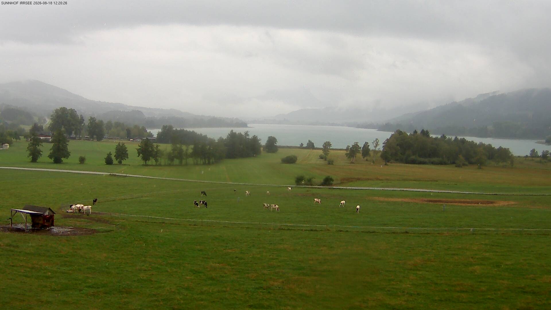 Archiv Foto Webcam Blick auf den Irrsee im Salzkammergut