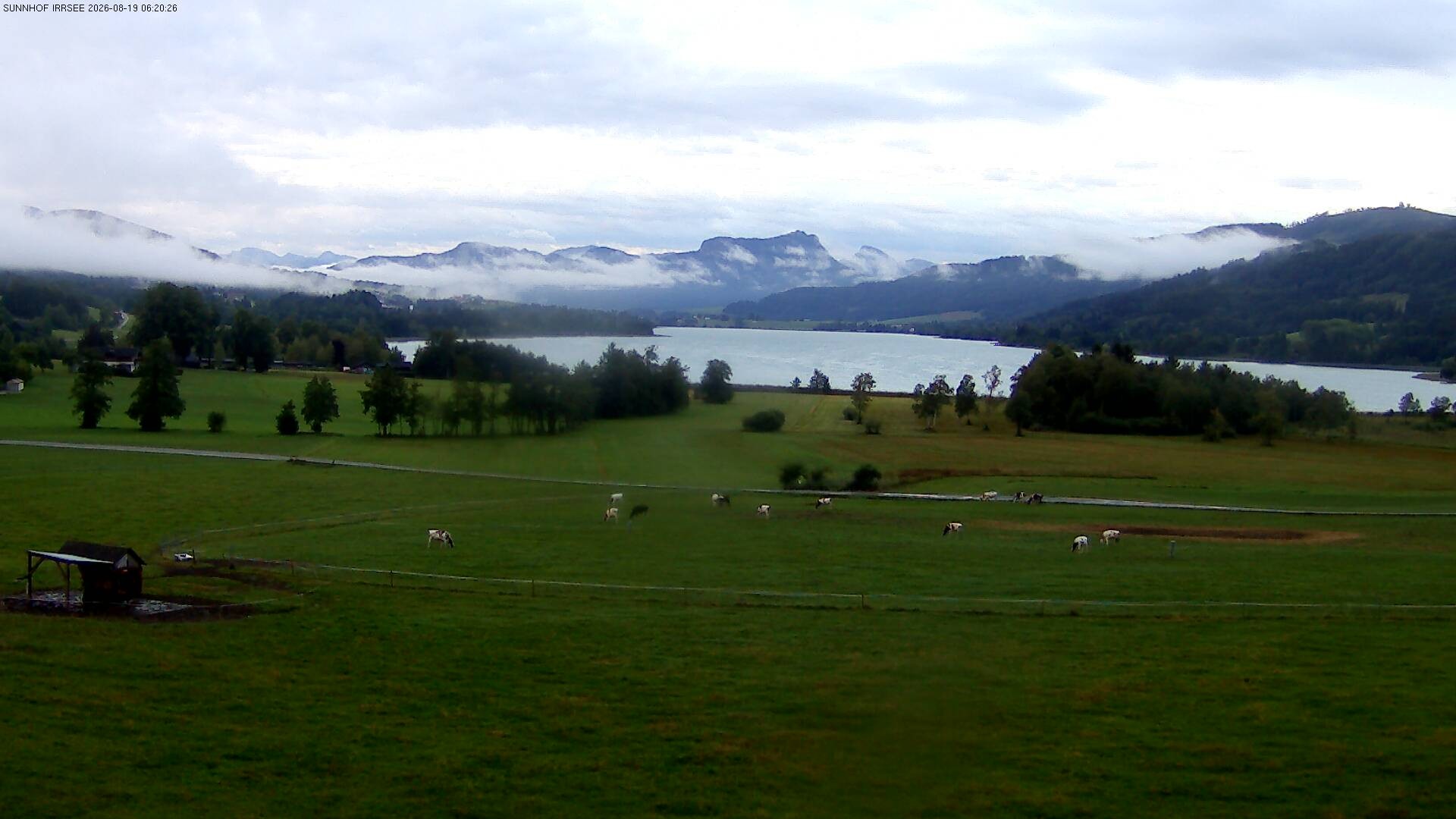 Archiv Foto Webcam Blick auf den Irrsee im Salzkammergut