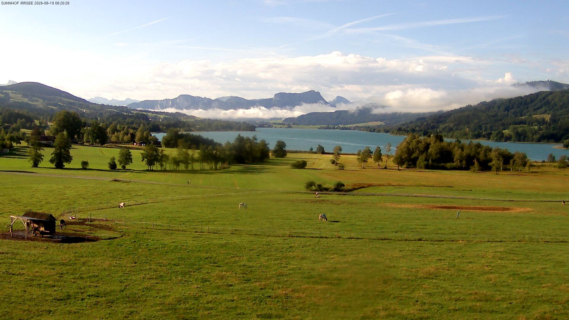 Archiv Foto Webcam Blick auf den Irrsee im Salzkammergut