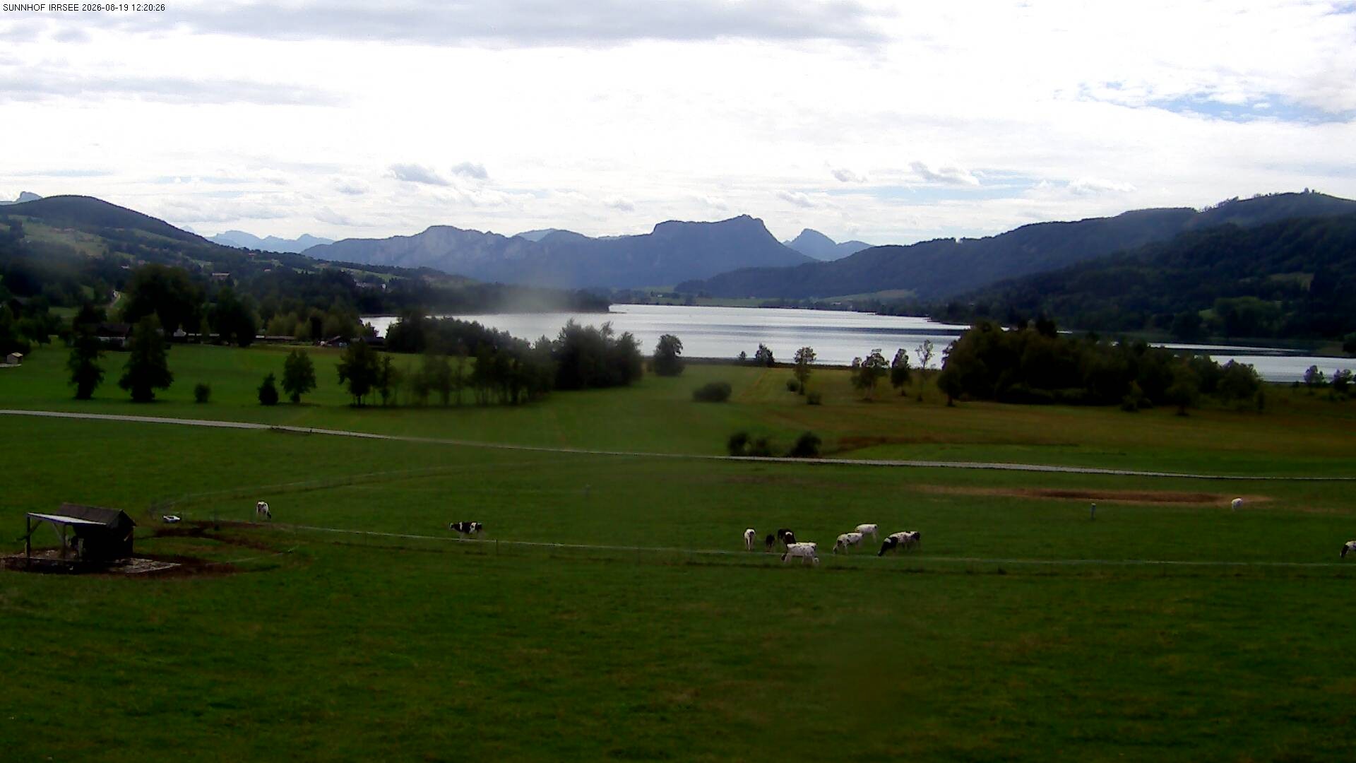 Archiv Foto Webcam Blick auf den Irrsee im Salzkammergut