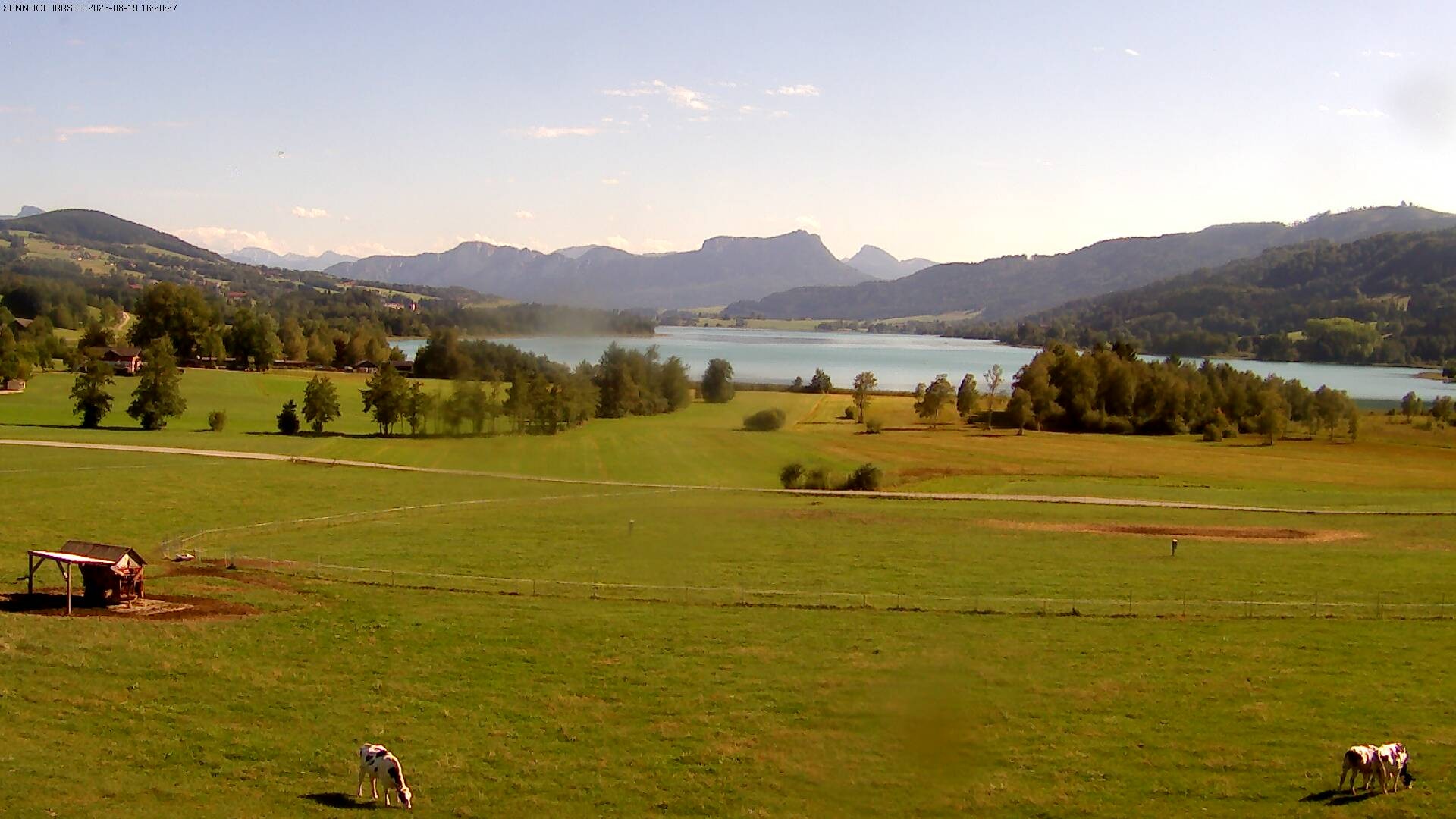 Archiv Foto Webcam Blick auf den Irrsee im Salzkammergut