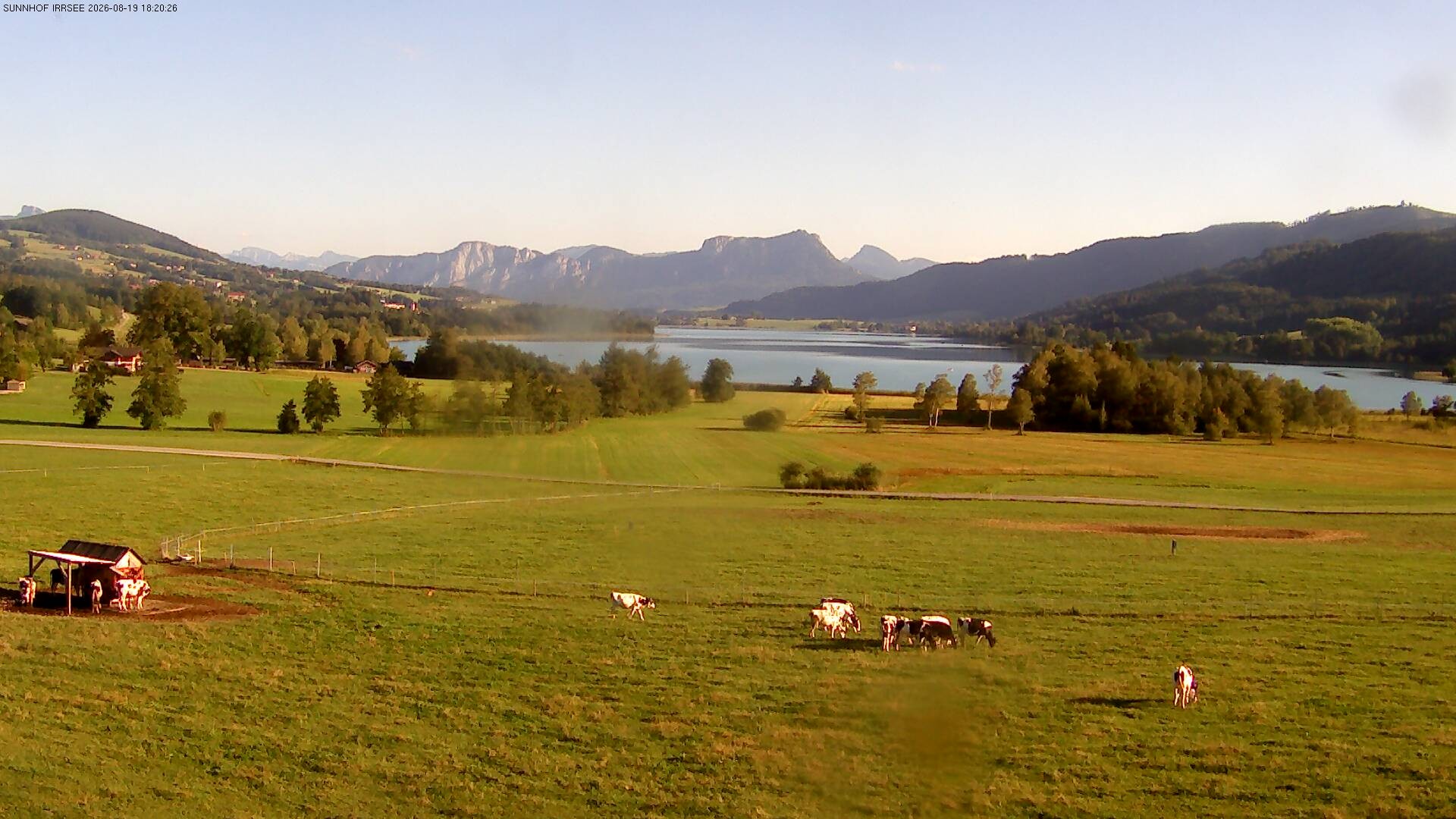 Archiv Foto Webcam Blick auf den Irrsee im Salzkammergut
