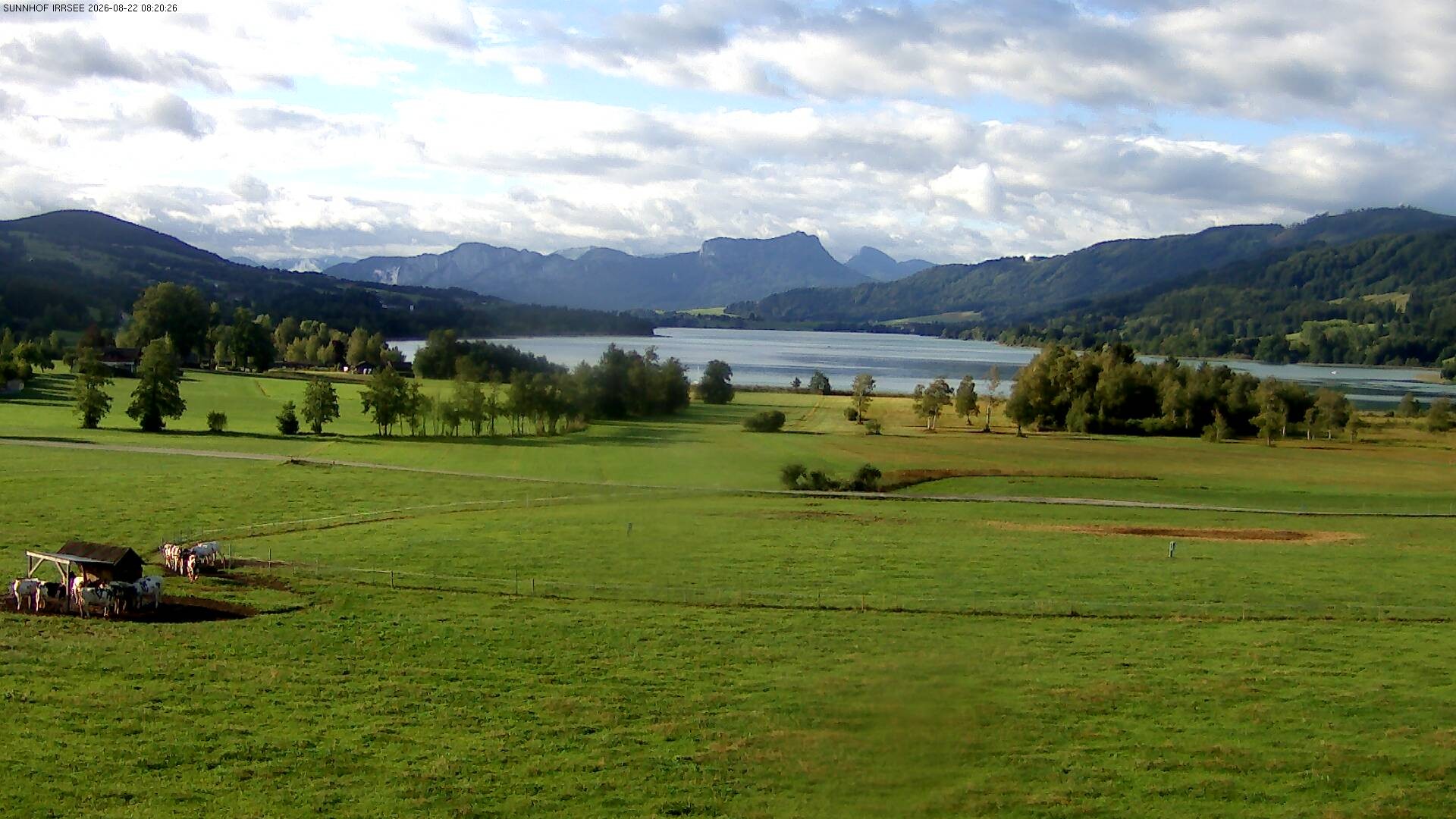 Archiv Foto Webcam Blick auf den Irrsee im Salzkammergut