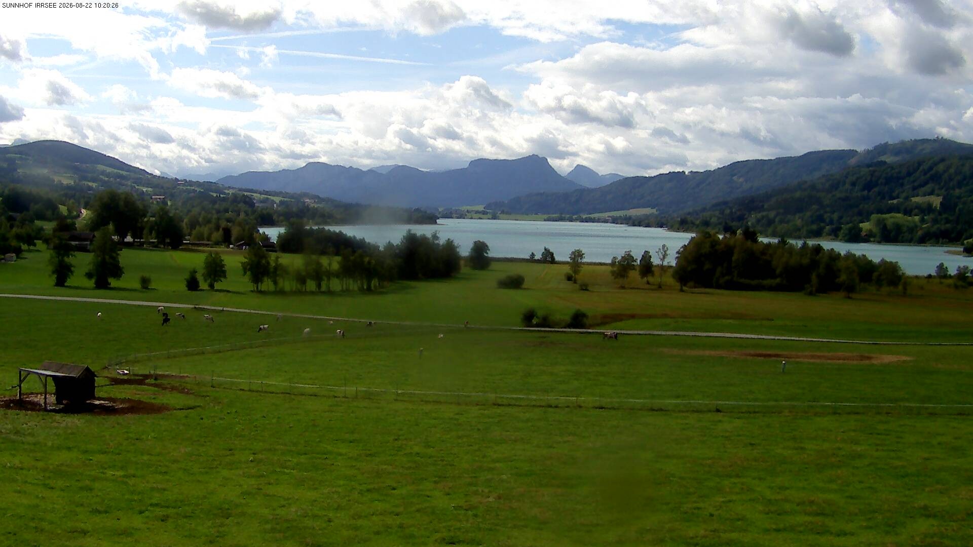 Archiv Foto Webcam Blick auf den Irrsee im Salzkammergut
