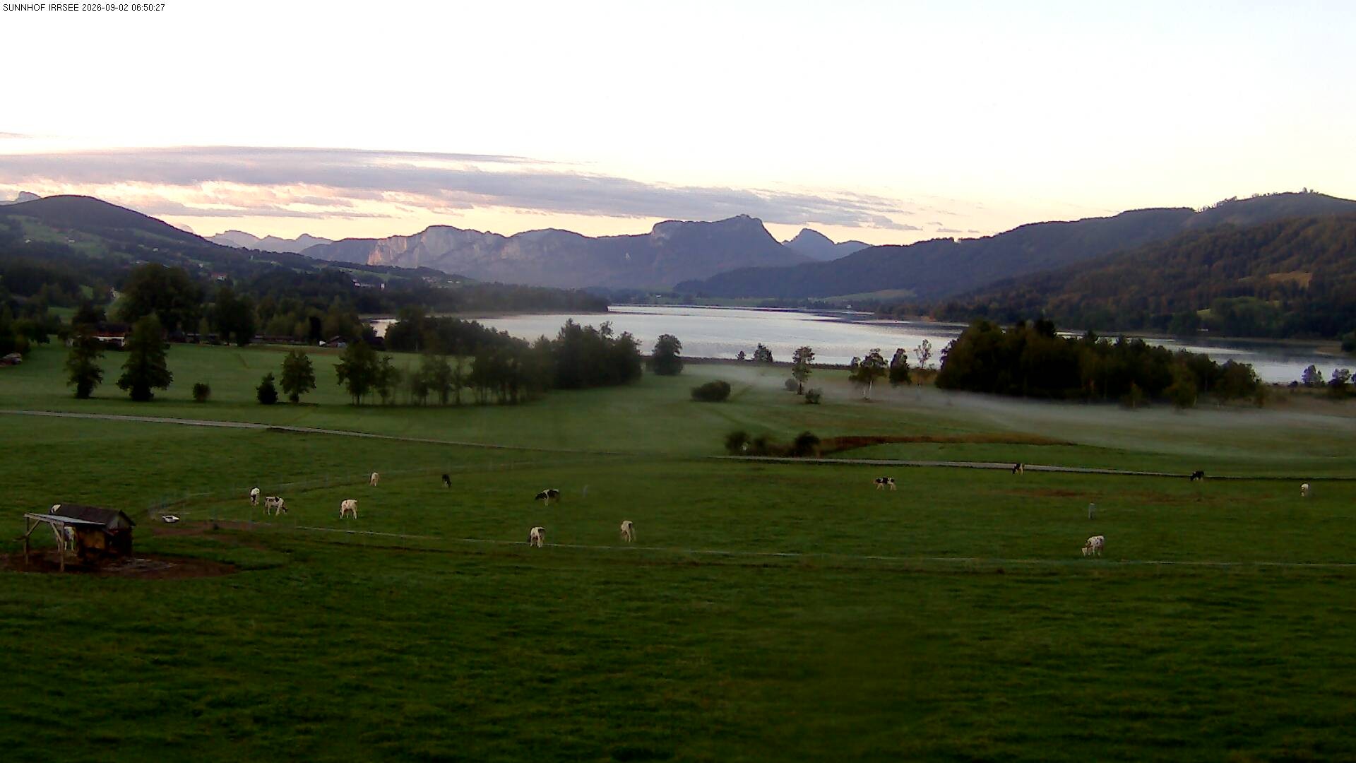 Archiv Foto Webcam Blick auf den Irrsee im Salzkammergut