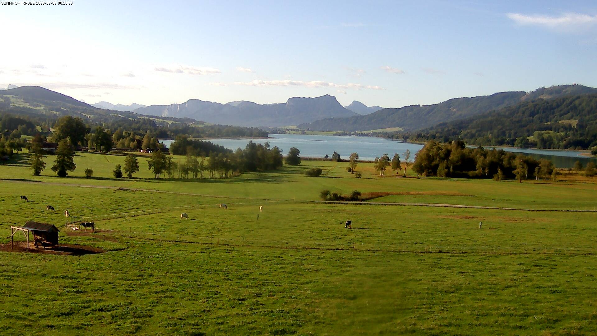 Archiv Foto Webcam Blick auf den Irrsee im Salzkammergut