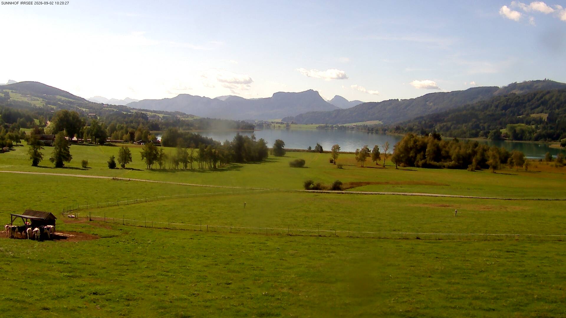 Archiv Foto Webcam Blick auf den Irrsee im Salzkammergut
