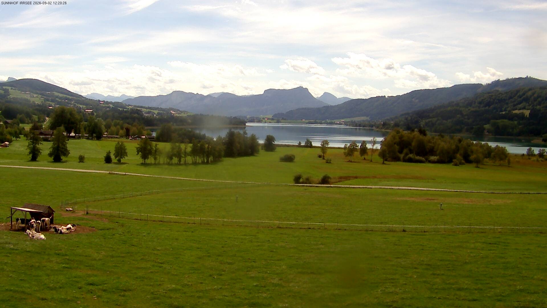 Archiv Foto Webcam Blick auf den Irrsee im Salzkammergut
