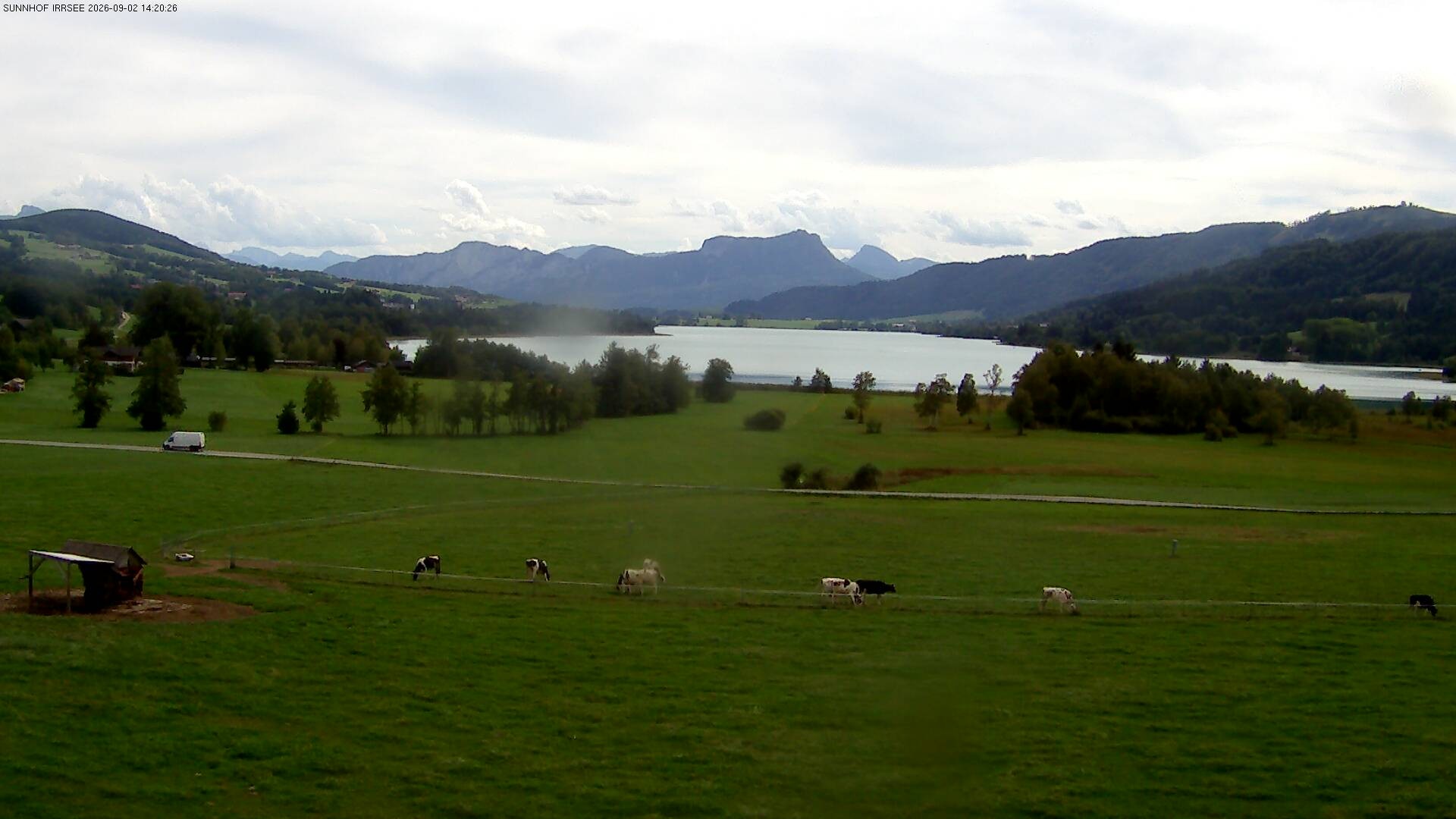 Archiv Foto Webcam Blick auf den Irrsee im Salzkammergut