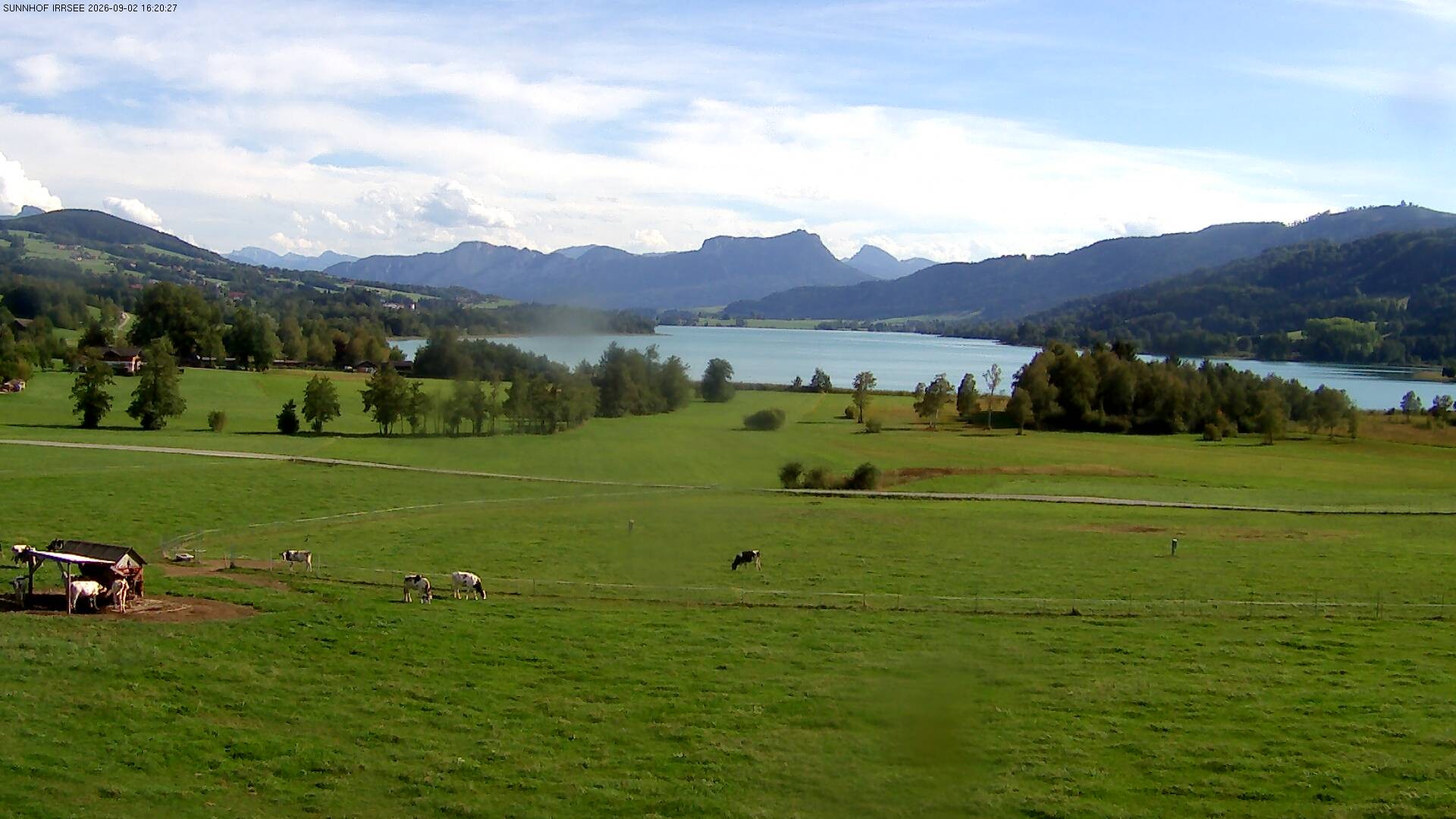 Archiv Foto Webcam Blick auf den Irrsee im Salzkammergut