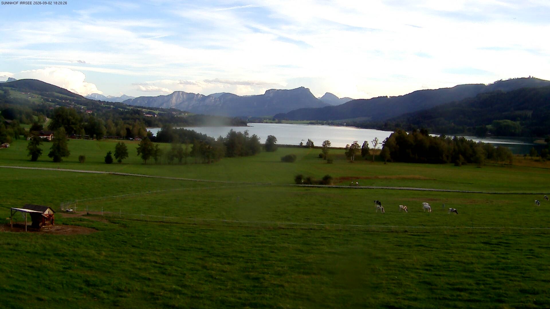 Archiv Foto Webcam Blick auf den Irrsee im Salzkammergut