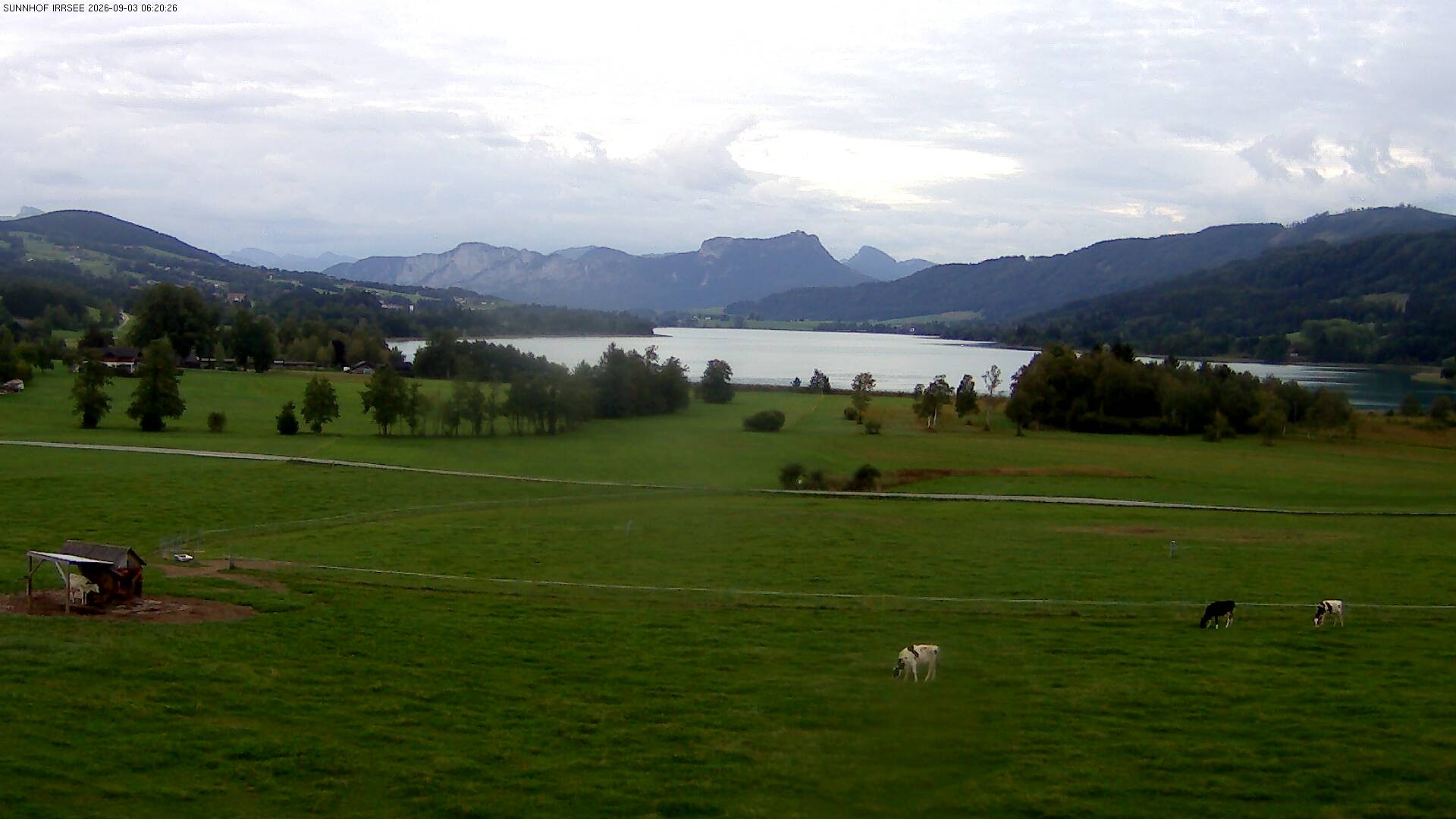 Archiv Foto Webcam Blick auf den Irrsee im Salzkammergut