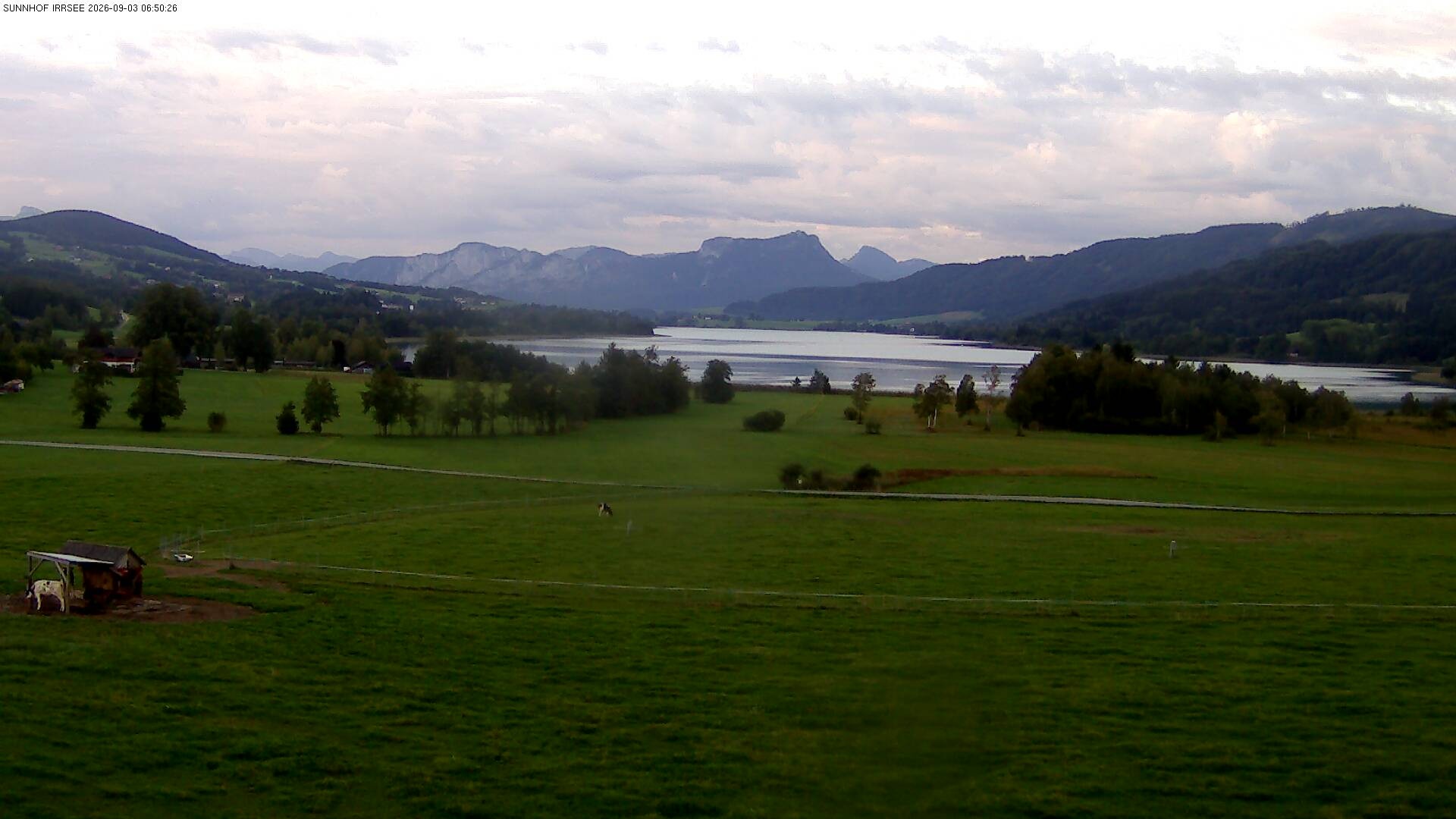 Archiv Foto Webcam Blick auf den Irrsee im Salzkammergut