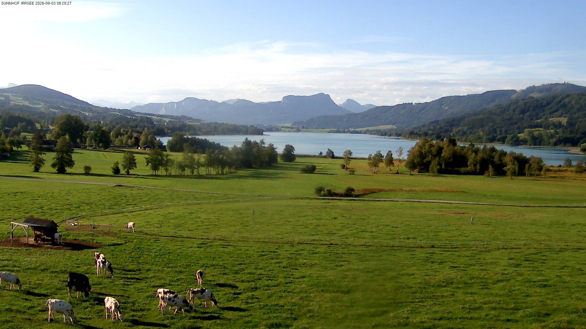 Archiv Foto Webcam Blick auf den Irrsee im Salzkammergut