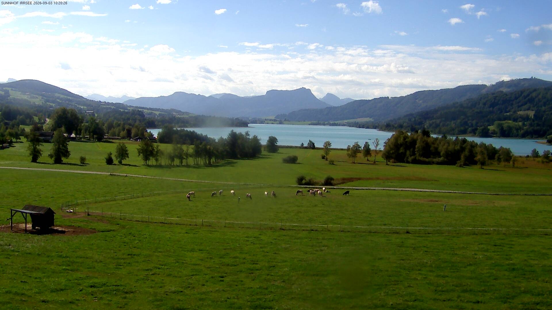 Archiv Foto Webcam Blick auf den Irrsee im Salzkammergut