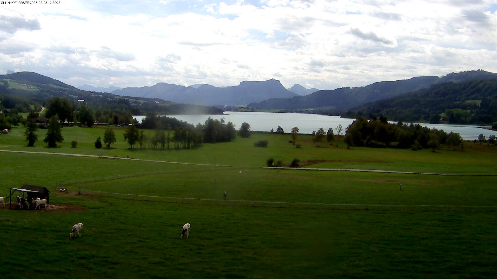 Archiv Foto Webcam Blick auf den Irrsee im Salzkammergut