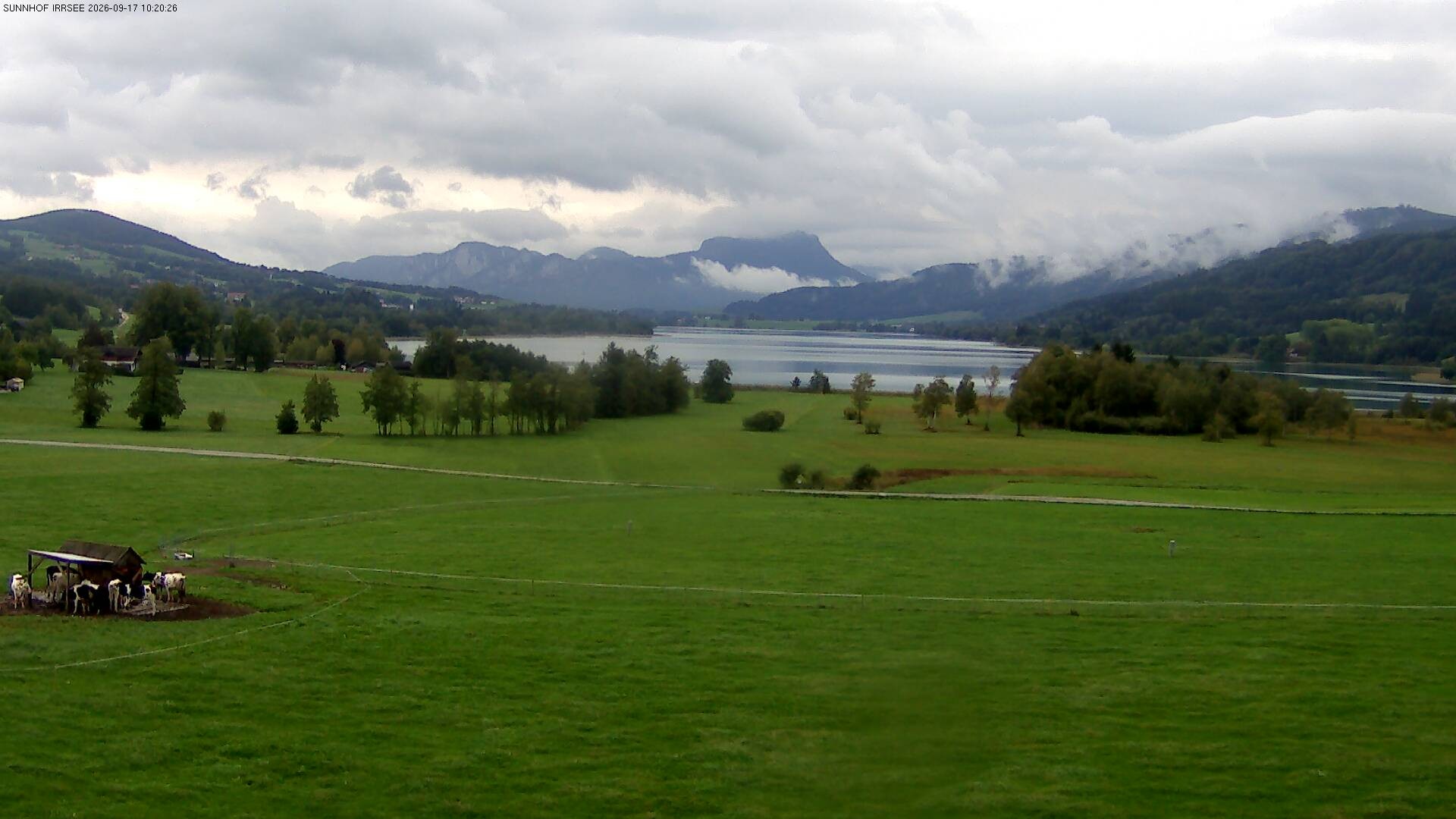 Archiv Foto Webcam Blick auf den Irrsee im Salzkammergut