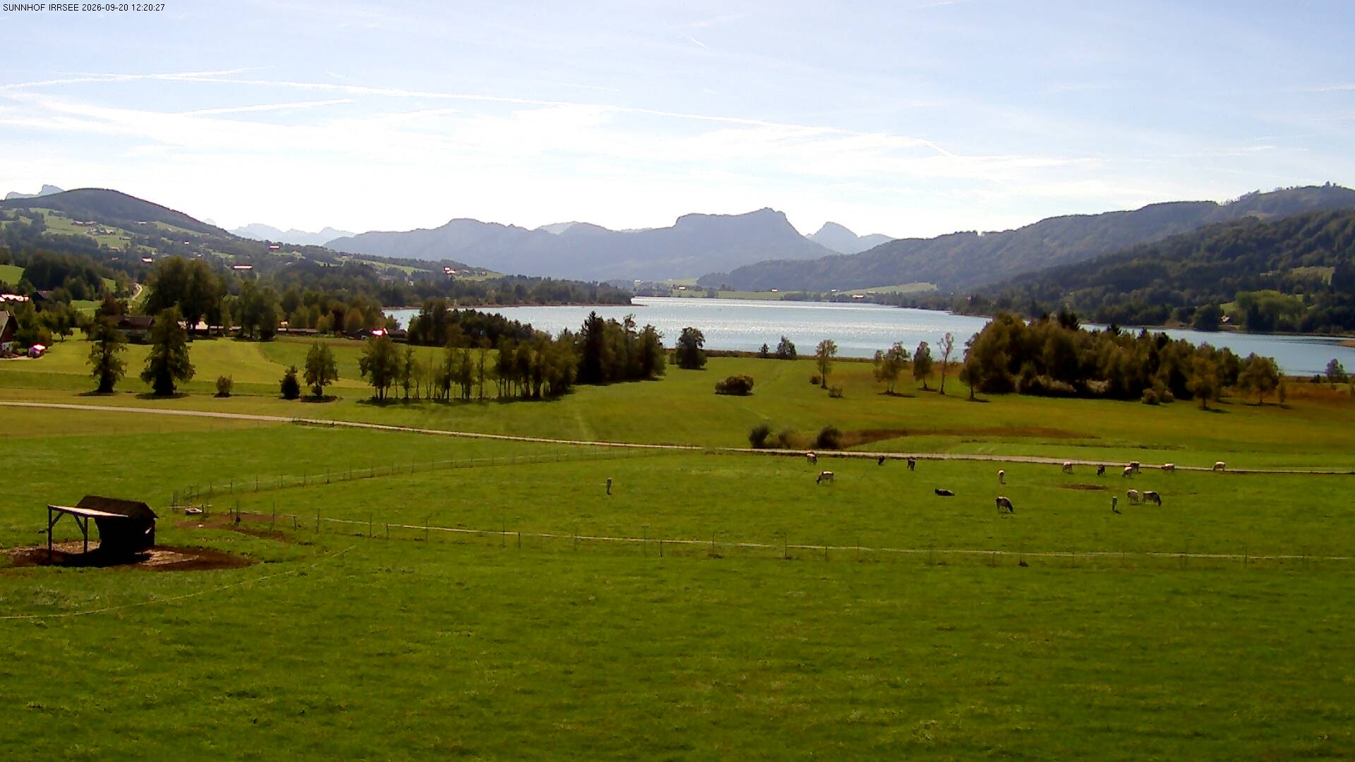 Archiv Foto Webcam Blick auf den Irrsee im Salzkammergut