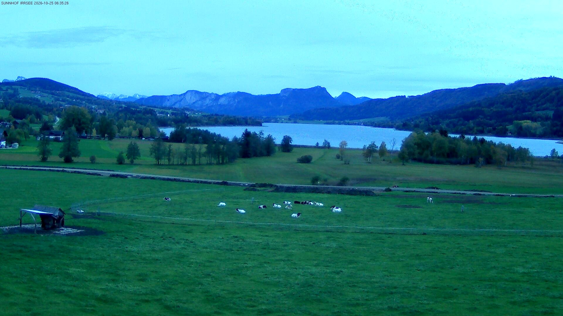 Archiv Foto Webcam Blick auf den Irrsee im Salzkammergut