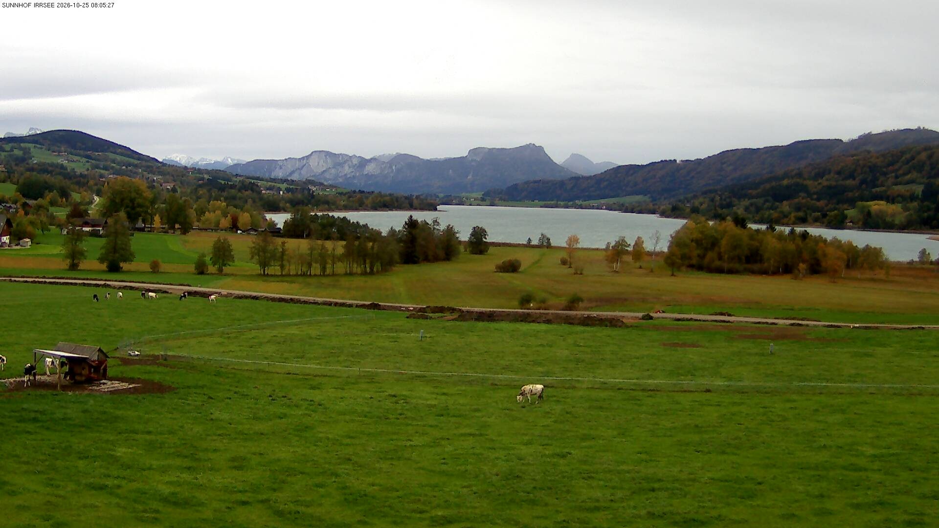 Archiv Foto Webcam Blick auf den Irrsee im Salzkammergut