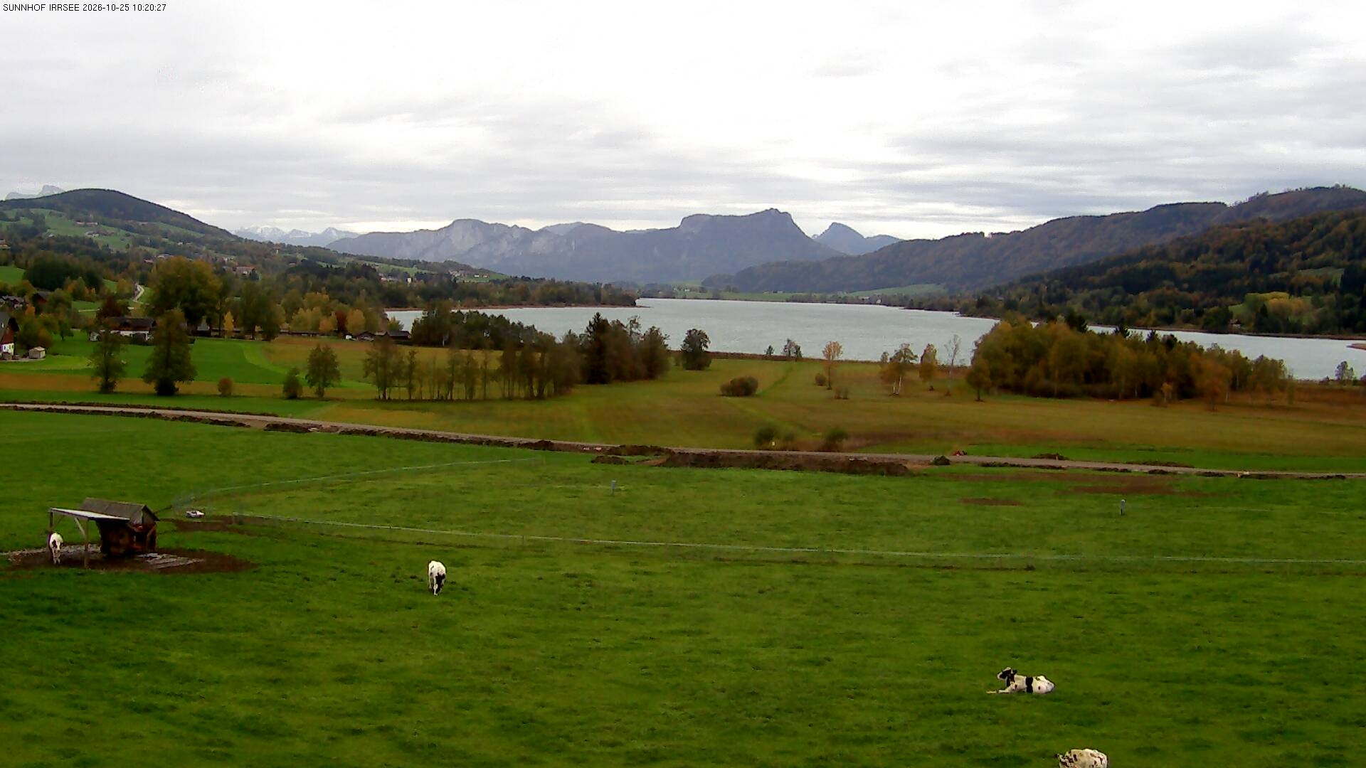 Archiv Foto Webcam Blick auf den Irrsee im Salzkammergut