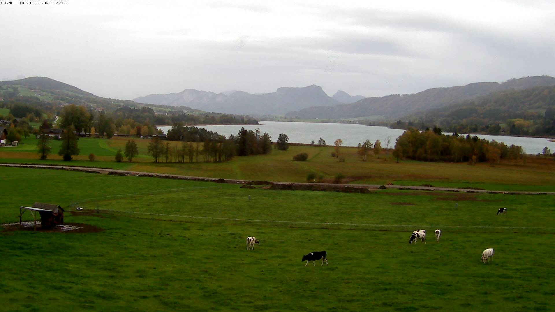 Archiv Foto Webcam Blick auf den Irrsee im Salzkammergut