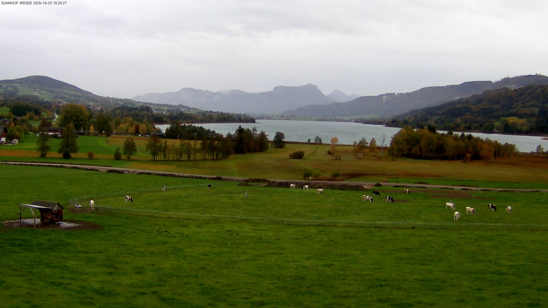 Archiv Foto Webcam Blick auf den Irrsee im Salzkammergut