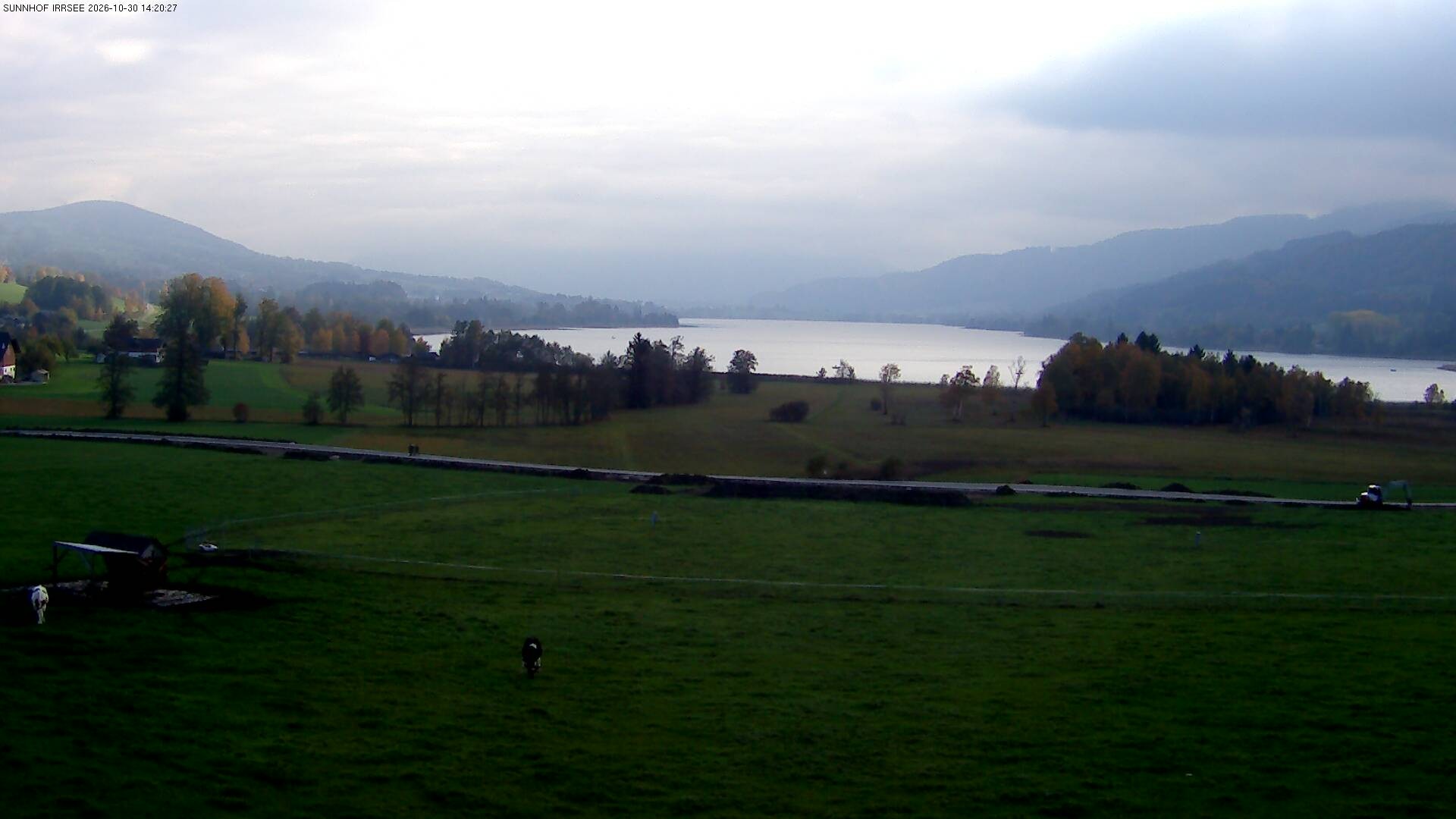 Archiv Foto Webcam Blick auf den Irrsee im Salzkammergut