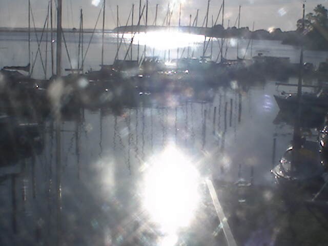Archiv Foto Hafen Webcam: Marina in Röbel an der Müritz
