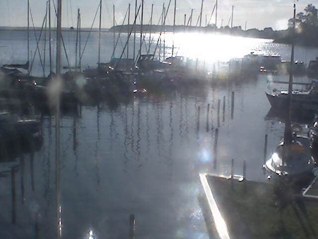 Archiv Foto Hafen Webcam: Marina in Röbel an der Müritz