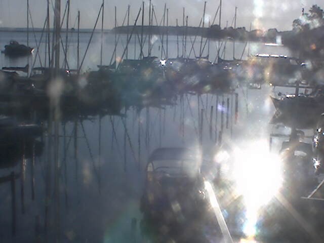 Archiv Foto Hafen Webcam: Marina in Röbel an der Müritz