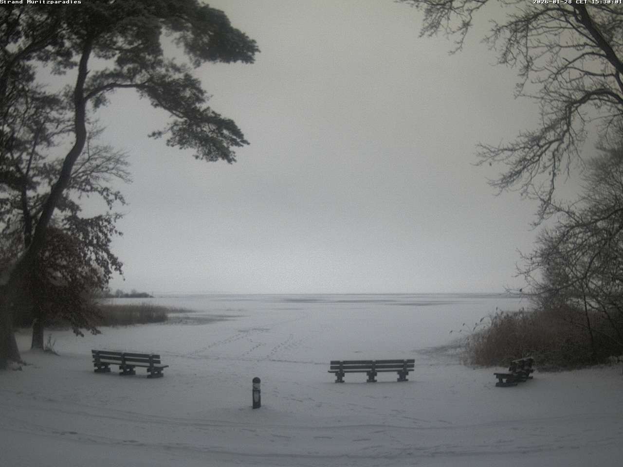 Archiv Foto Webcam Boek an der Müritz - Ostufer