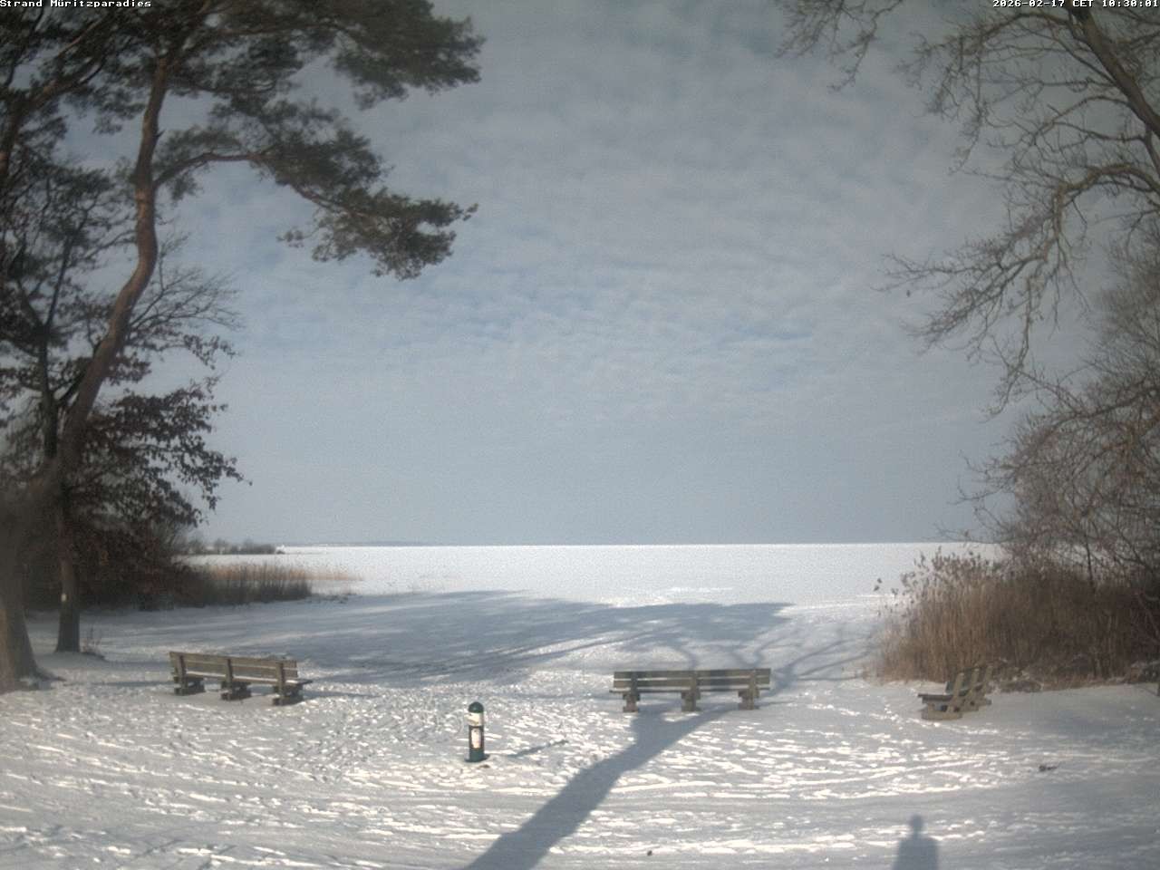 Archiv Foto Webcam Boek an der Müritz - Ostufer